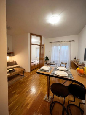 Apartman Stari Vlah